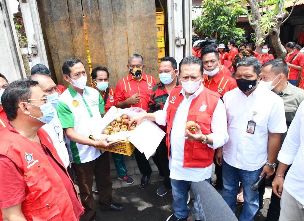 Bamsoet Lepas Ekspor Buah Manggis ke Tiongkok