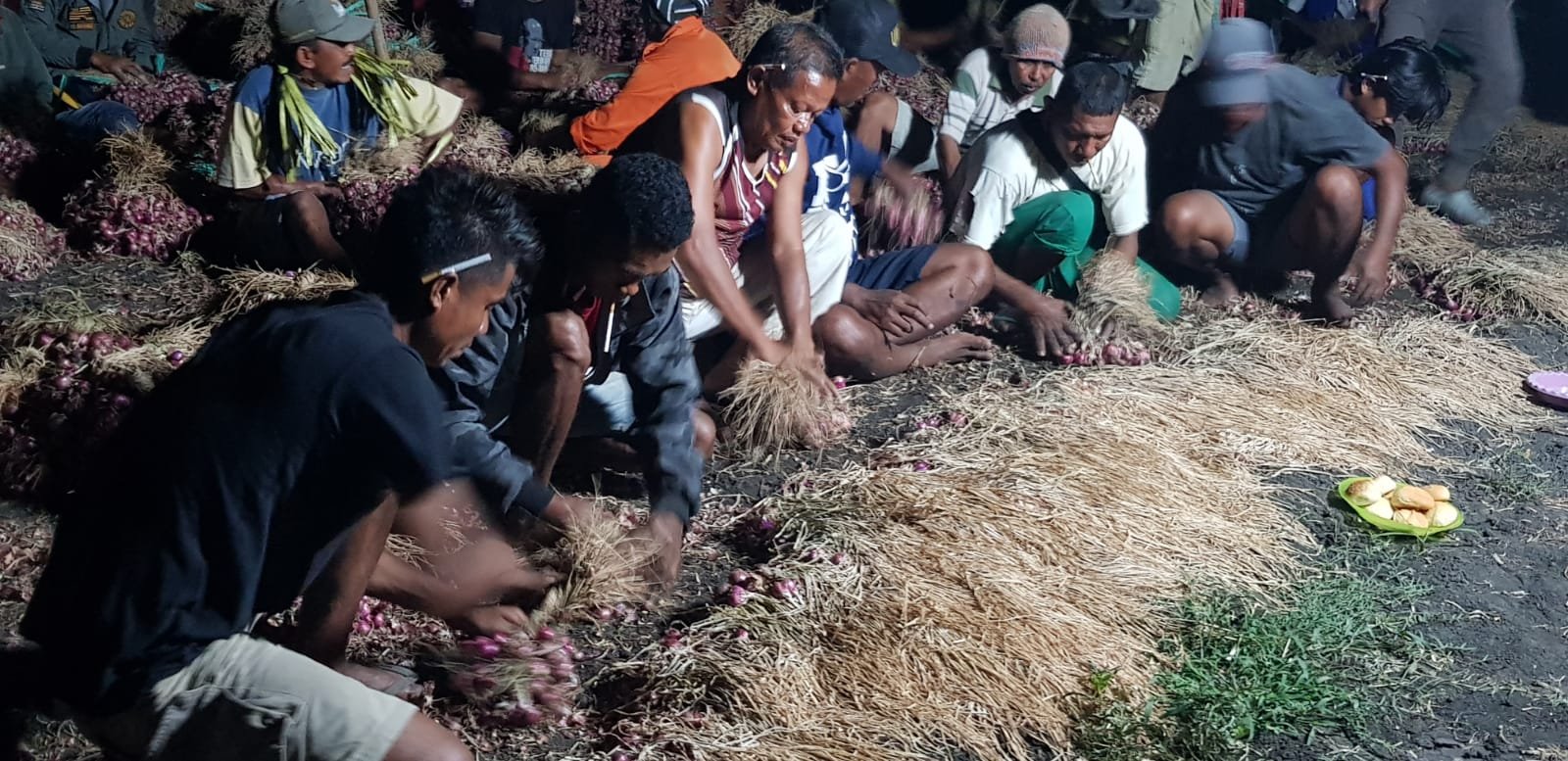 Hujan dan Harga, Bikin Gelisah Petani Bawang Merah di Kecamatan Reok