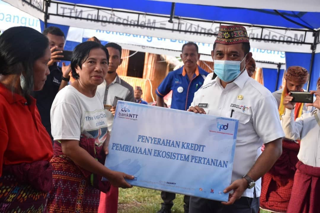 Luncurkan Program Tanam Jagung Panen Sapi (TJPS), Bupati Hery: Ekosistem Pertanian Pola Baru