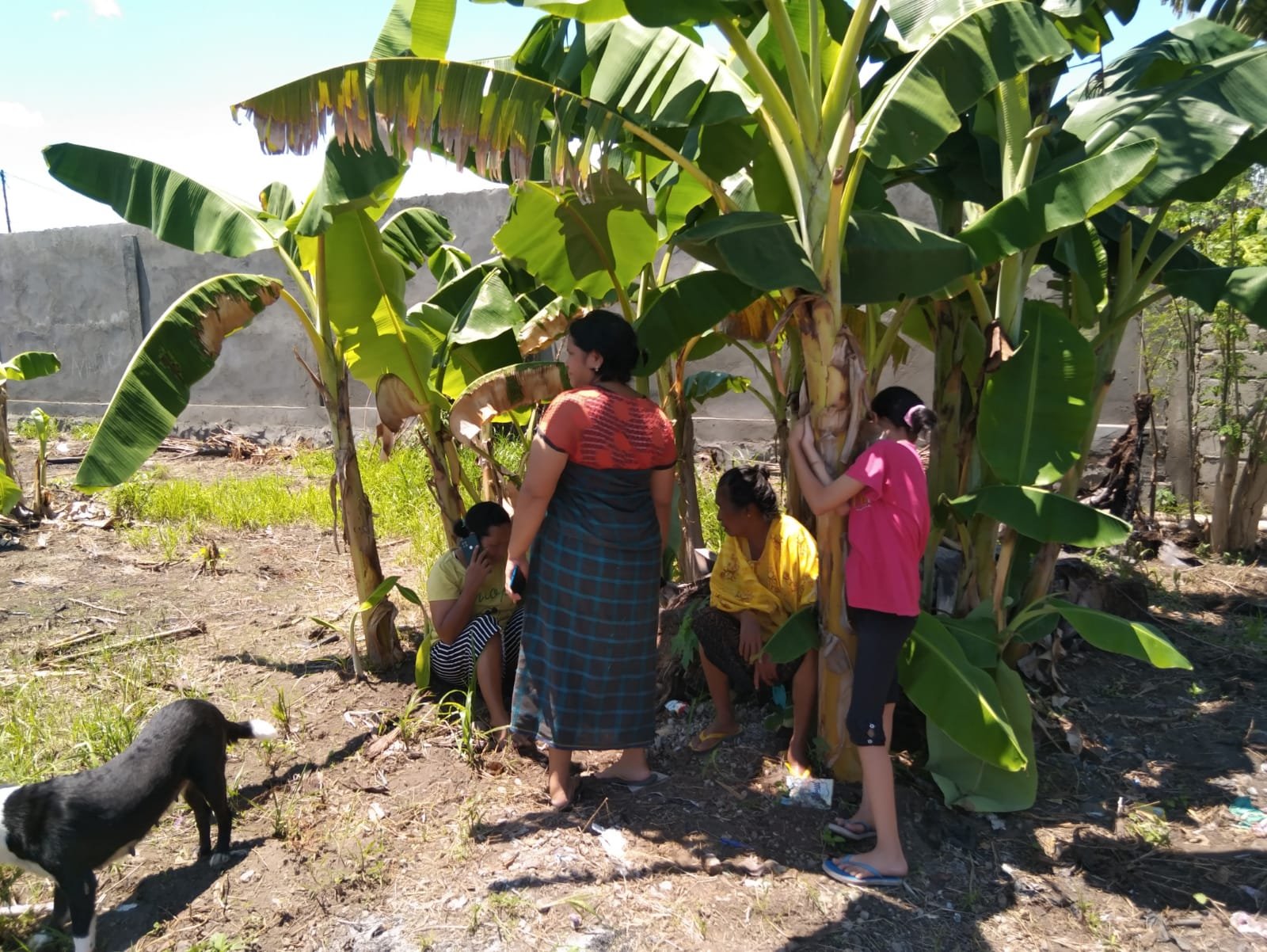 Gempa Kembali Guncang Flores Pasca Peringatan ke-29 Tahun Tsunami yang Menelan Ribuan Nyawa Warga Kabupaten Sikka
