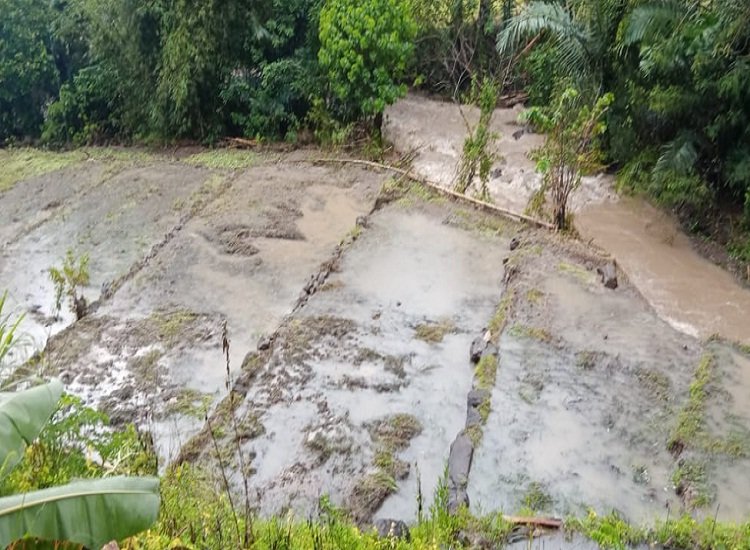Derita Petani Pascabanjir, Menanam Padi Menuai Pasir