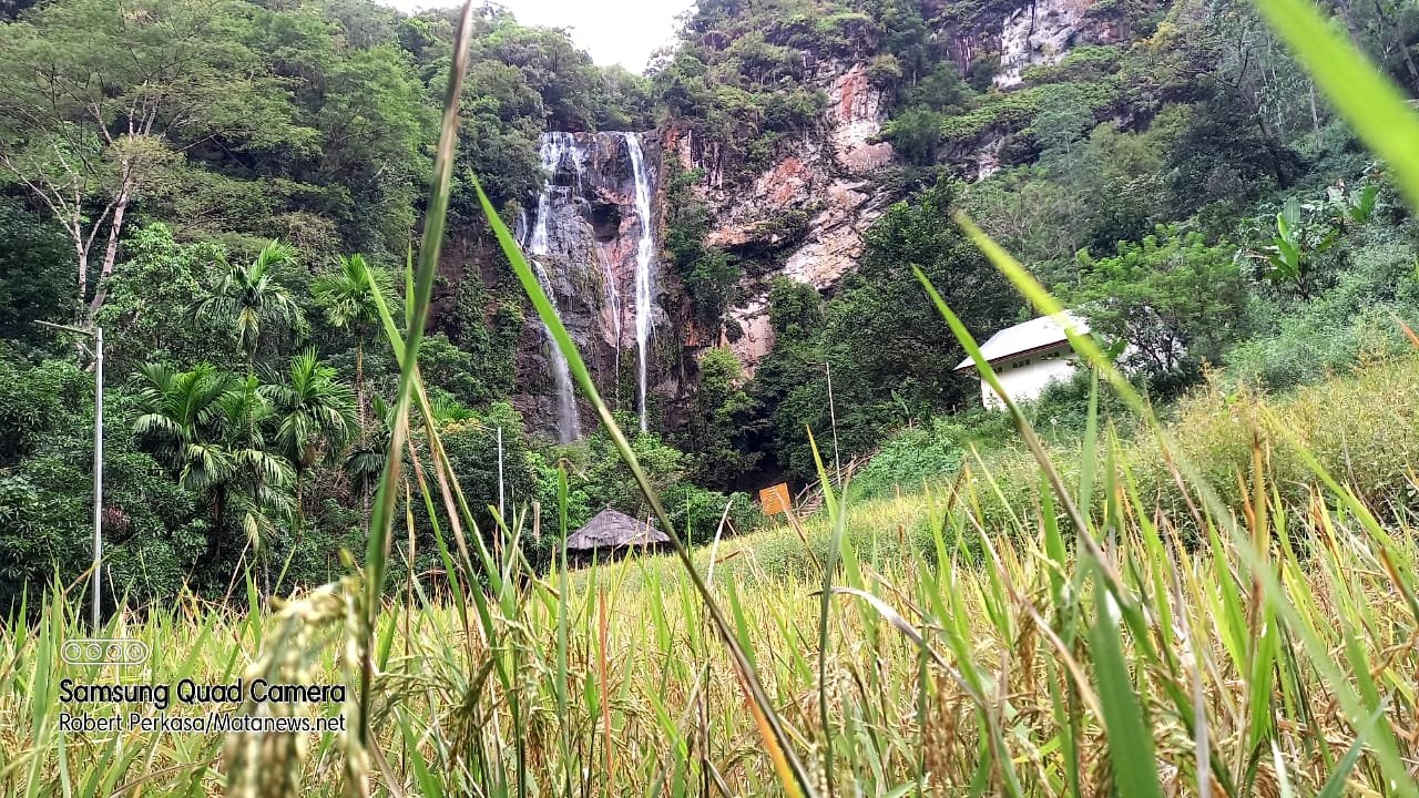 Alihfungsi Lahan Pertanian Pangan Berkelanjutan Segera Dihentikan (2/Habis)