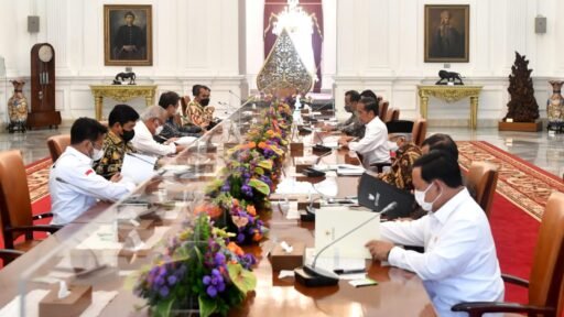 Jokowi Terus Dorong Pengembangan Lumbung Pangan di Sejumlah Daerah