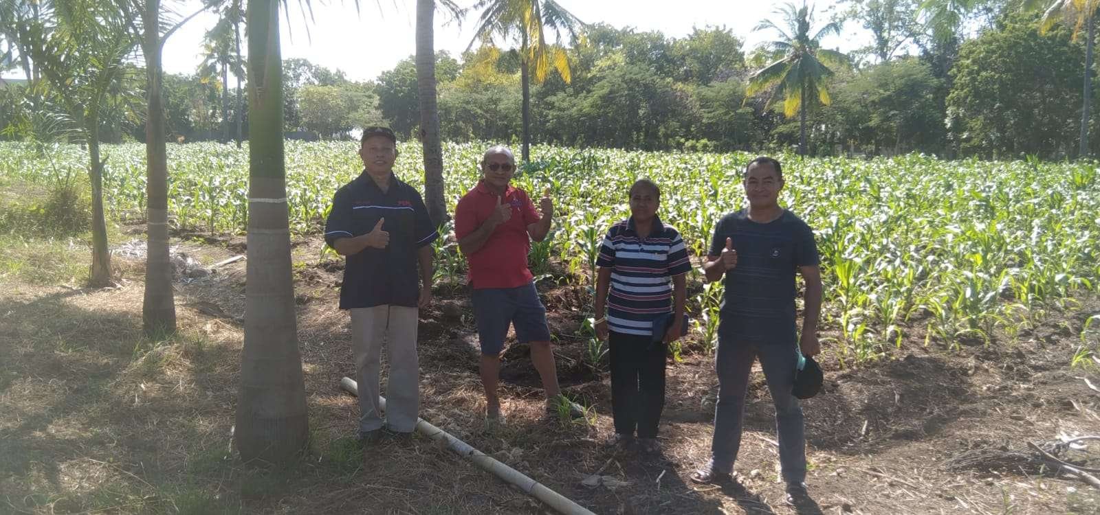 Kampus Politeknik Cristo Re Keuskupan Maumere Perkuat Karakter, Pengetahuan, dan Keterampilan Plus
