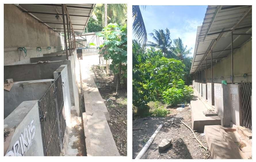 Kunjungi Kebun Panti Santa Dymphna, Bupati Sikka Janjikan Instalasi Jaringan Perpipaan PDAM Sikka