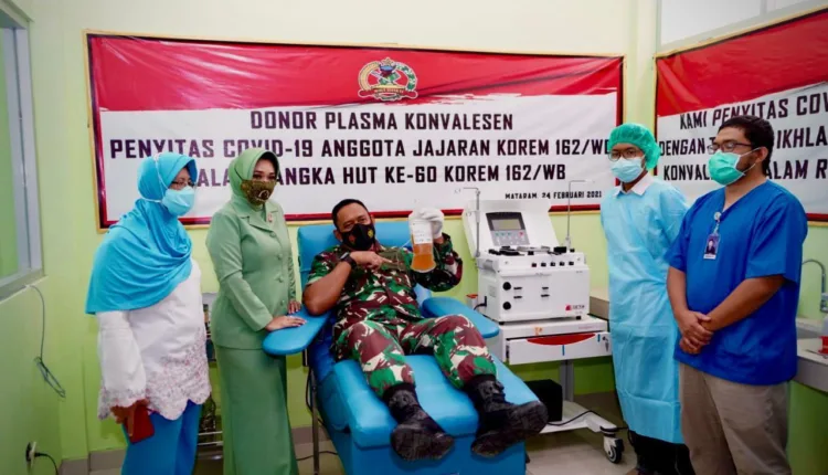 donor Sarah plasma