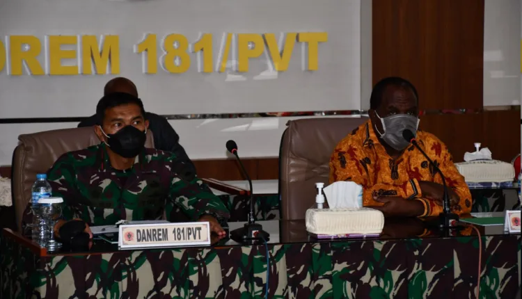 Danrem 181/PVT
