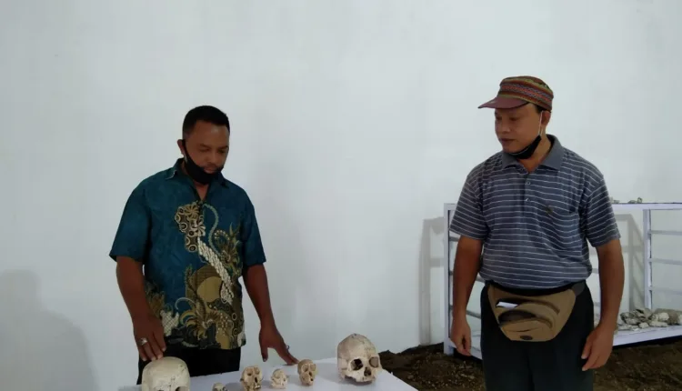 Fosil Manusia Purba Flores Dipajangkan di Pameran Re-Image Bikon Blewut Ledalero