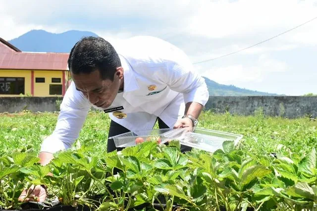 Dorong Kaum Muda Terjun ke Wirausaha dan Bisnis Pertanian, Bupati Manggarai Buka Pelatihan Petani Milenial