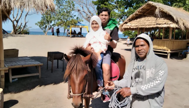 Pintar Asia Beach Sikka Siapkan 2 Kuda Tunggangan dan Aneka Fasilitas Puaskan Wisatawan