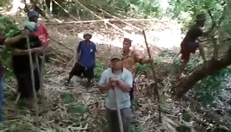 Tanam Pohon Waru di Ulung Wae Luwuk, JPIC Ajak Masyarakat Adat Jaga Sumber Air