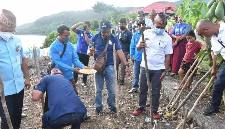 Luncurkan Program Tanam Jagung Panen Sapi (TJPS), Bupati Hery: Ekosistem Pertanian Pola Baru