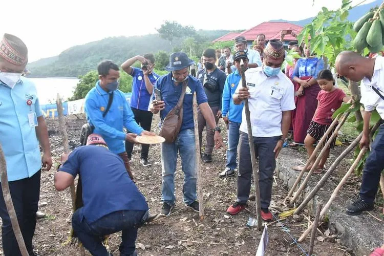 Luncurkan Program Tanam Jagung Panen Sapi (TJPS), Bupati Hery: Ekosistem Pertanian Pola Baru