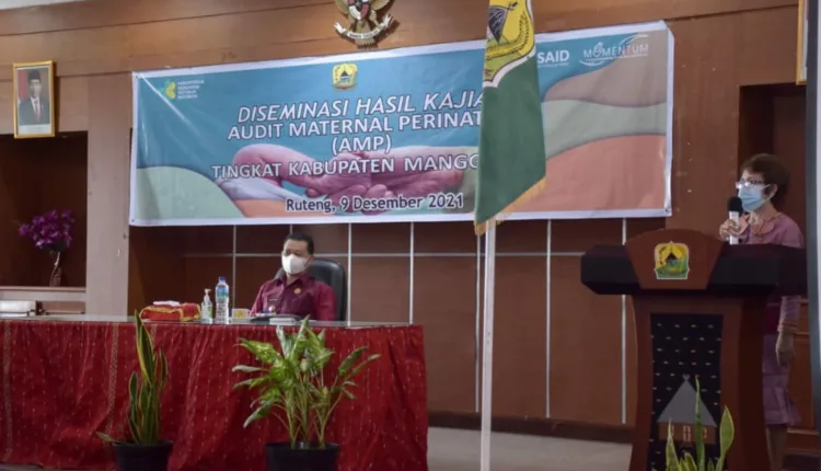 Buka Kegiatan Diseminasi Hasil Kajian AMP-SR, Wabup Manggarai: Tujuannya untuk Menekan Angka Kematian Ibu dan Bayi yang Kian Mencemaskna
