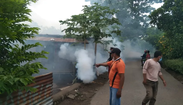 Belasan Anak Terpapar DBD, Petugas Gencar Lakukan Pengasapan Lokasi Demam Berdarah di Kota Maumere