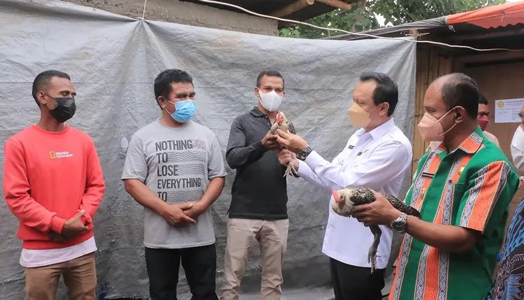 Serahkan Hibah Ayam KUB 1500 Ekor, Bupati Belu: Ayamnya Jangan Sampai Mati, Dicek Pakan dan Vaksinnya