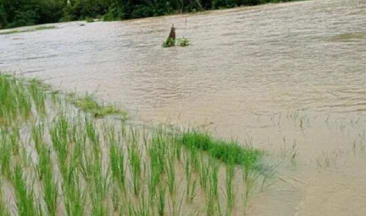 Banjir & Longsor Kepung Mabar, BPBD Sigap Tangani Bencana