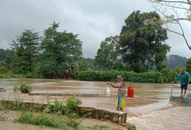 Banjir Rendam 57,5 Hektare Tanaman Padi di Manggarai Barat
