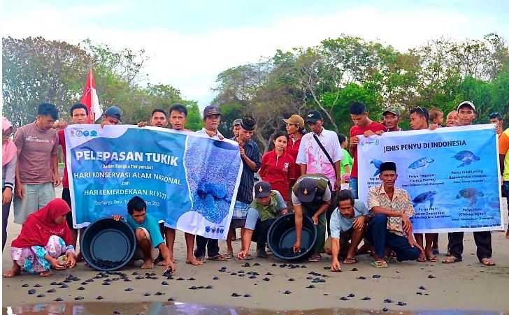 Pegiat Konservasi Desa Nanga Bere Lepasliarkan 422 Tukik Penyu