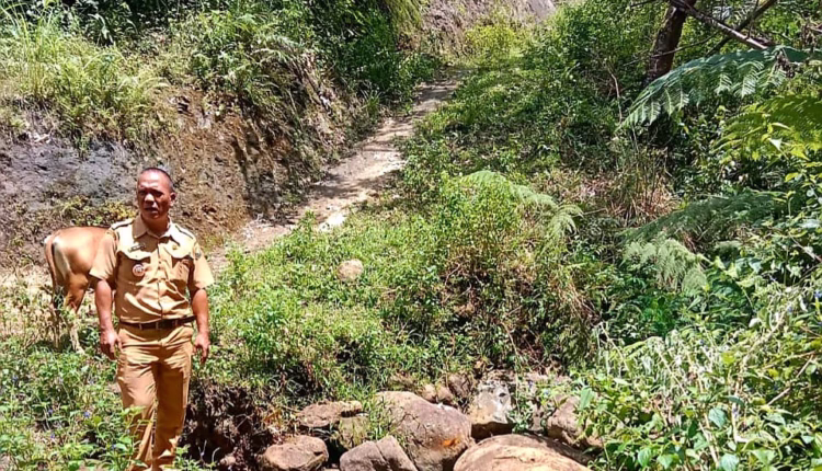 Pemkab Manggarai Bangun Infrastruktur Jalan Tani Desa Ngkaer Satarmese