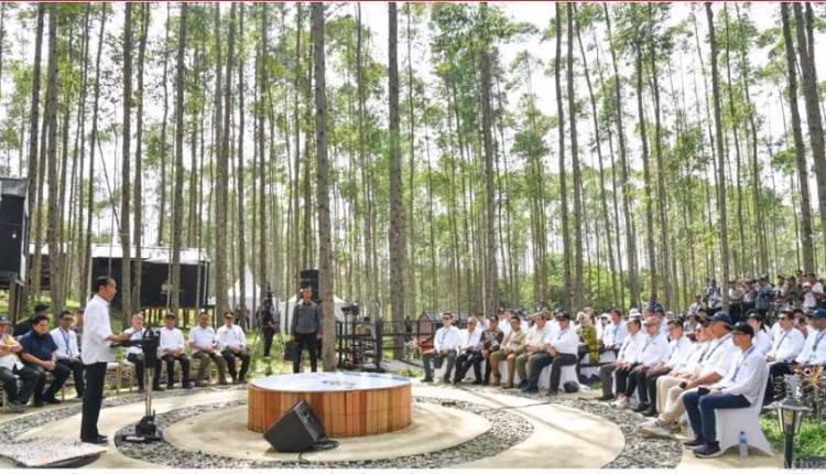 Presiden Minta Semua Pihak Ikut Bangun IKN