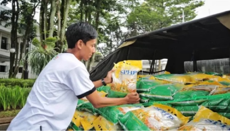 Harga Beras Naik karena Jokowi Kuras Stok Bulog Jutaan Ton
