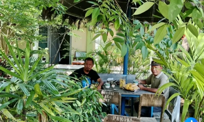 Ketika Romo Mansuetus Hariman Sulap Pastoran Reo Jadi Rumah Ekologis Bertaburan Gelombang Cinta, Janda Bolong, dan Sakura